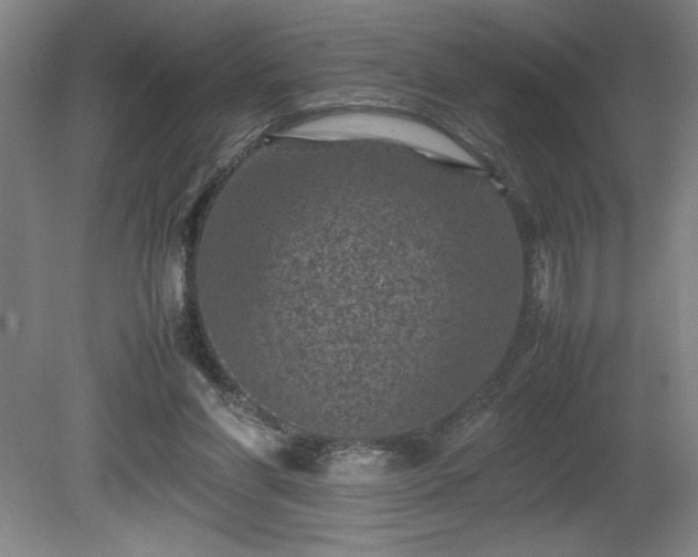 X0000081410206200701191538
