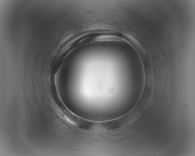 X0000081410207200701191538
