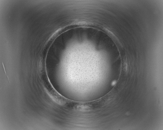 X0000081410208200701191538