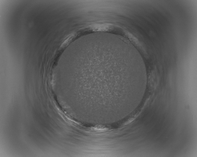 X0000081410209200701191538