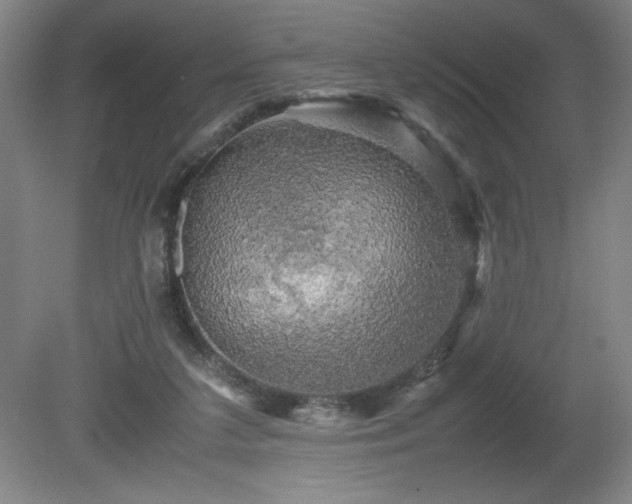 X0000081410211200701191538