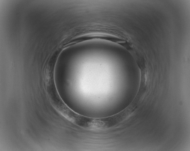 X0000081410215200701191538