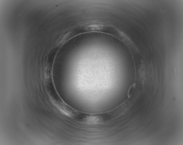 X0000081410218200701191538