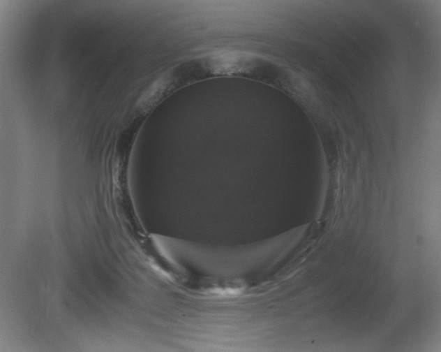 X0000081410219200701191538