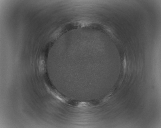 X0000081410222200701191538