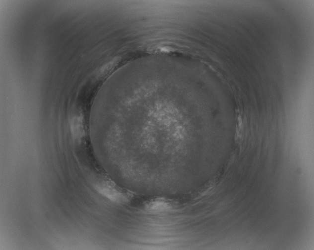 X0000081410224200701191538