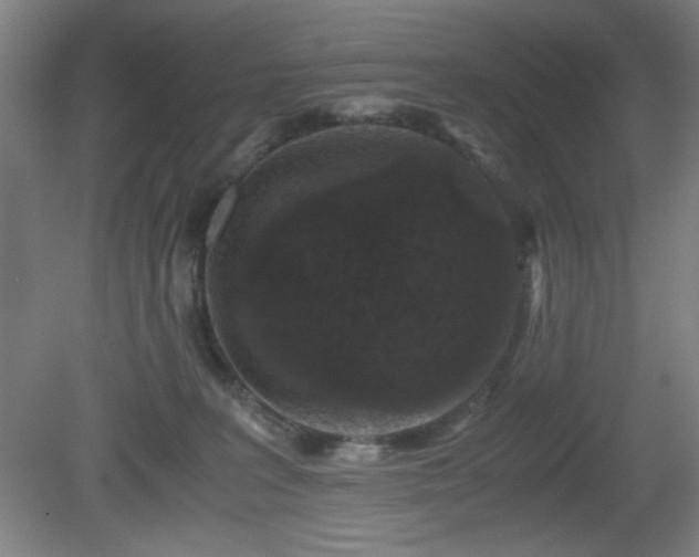 X0000081410227200701191538