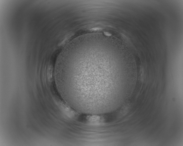 X0000081410230200701191538