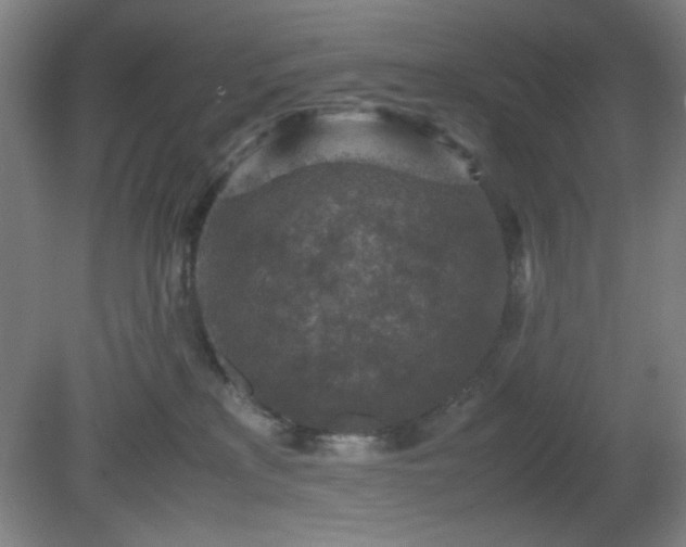 X0000081410233200701191538