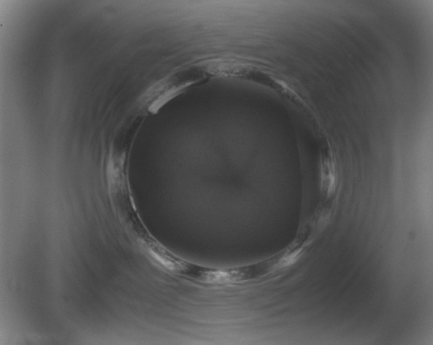 X0000081410239200701191538