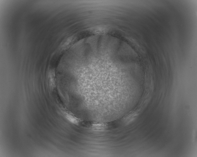 X0000081410240200701191538