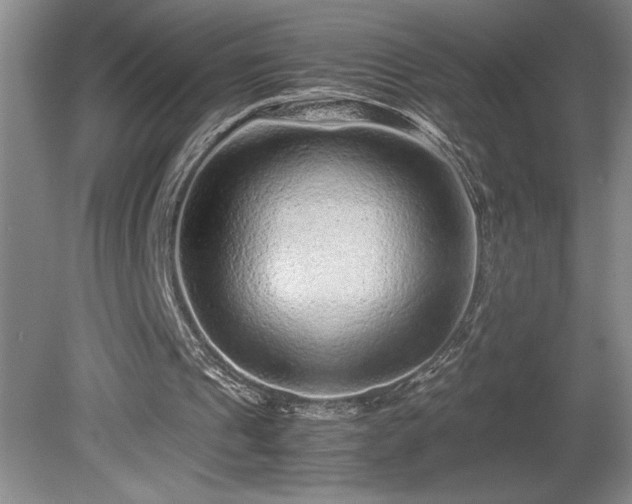 X0000081410241200701191537