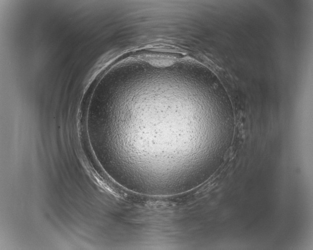 X0000081410242200701191537