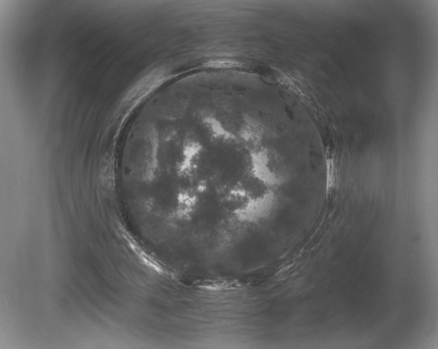 X0000081410243200701191537