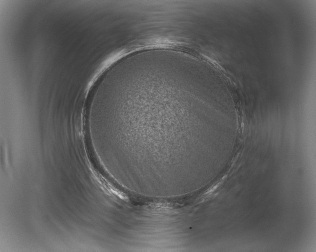 X0000081410244200701191537