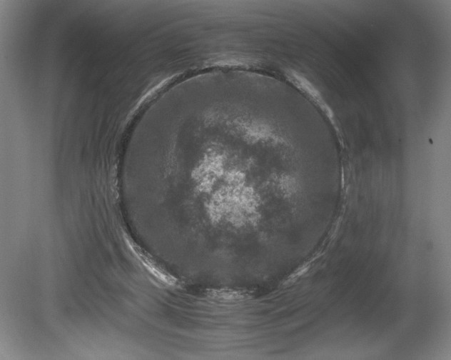 X0000081410249200701191537