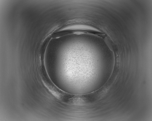 X0000081410254200701191537