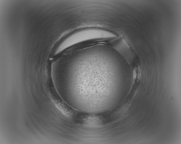 X0000081410256200701191537