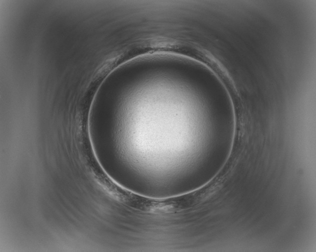 X0000081410257200701191537