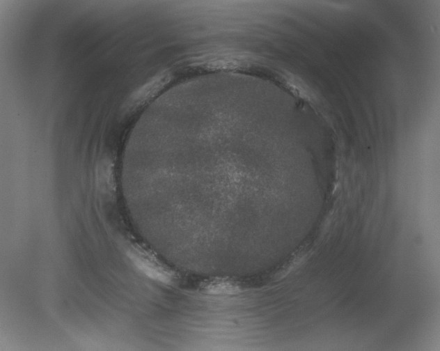 X0000081410258200701191537