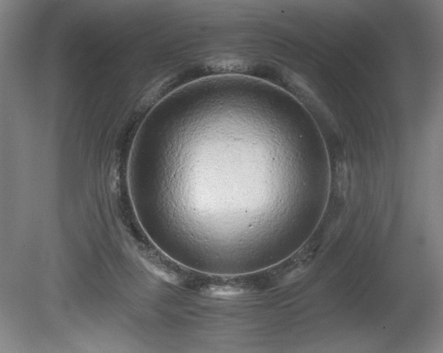 X0000081410259200701191537
