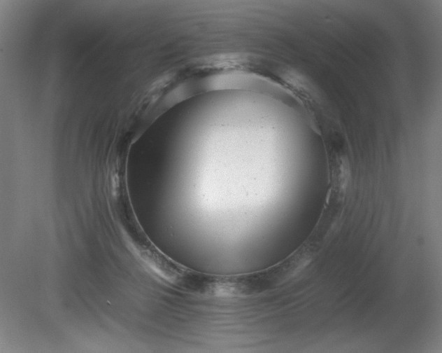 X0000081410264200701191537