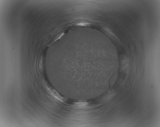 X0000081410266200701191537