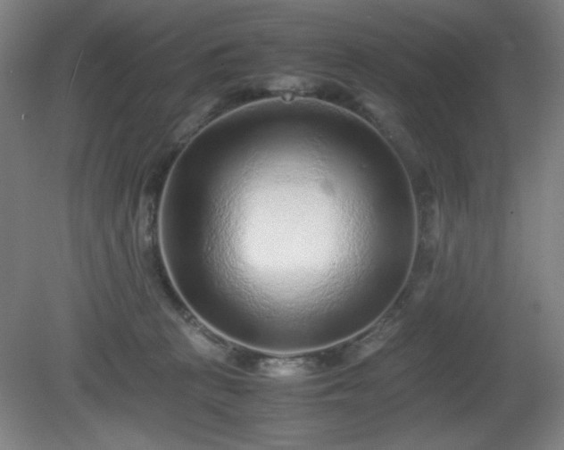 X0000081410273200701191538