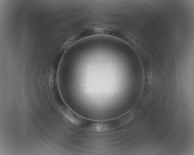 X0000081410275200701191538