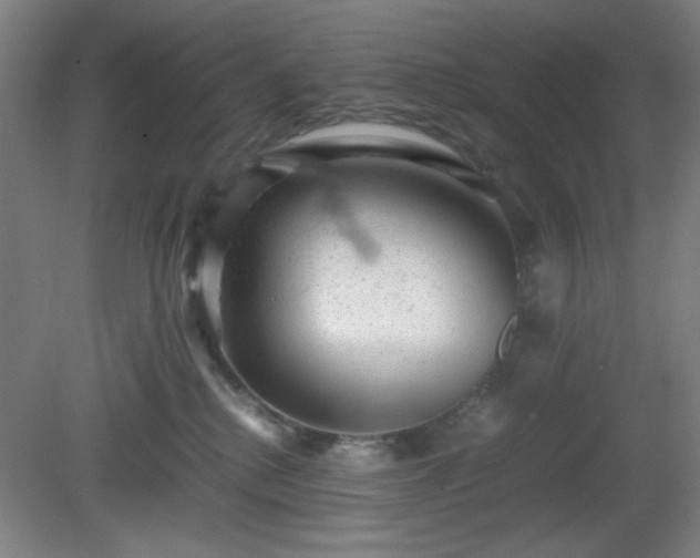 X0000081410280200701191538