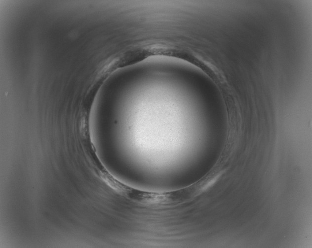 X0000081410288200701191538