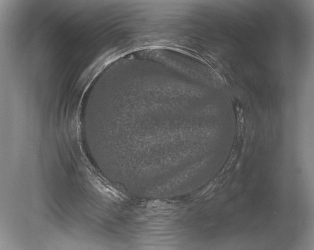 X0000081410290200701191537