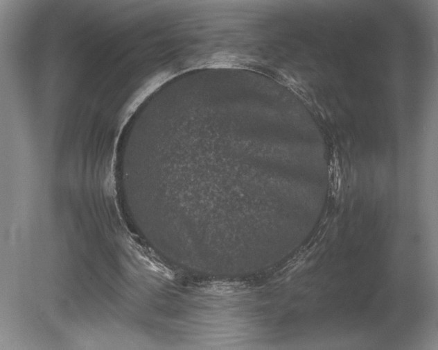 X0000081410292200701191537