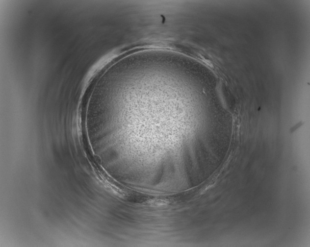 X0000081410294200701191537