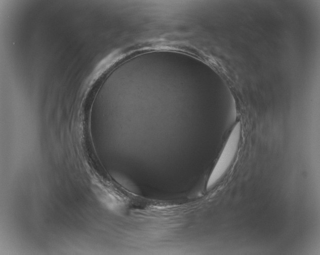 X0000081410295200701191537