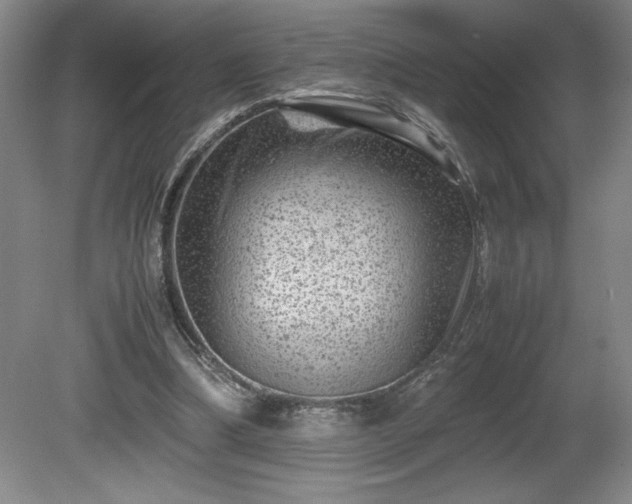 X0000081410298200701191537