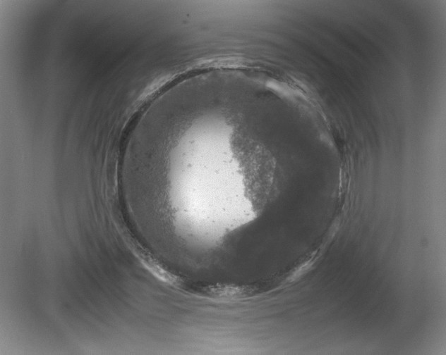 X0000081410301200701191537