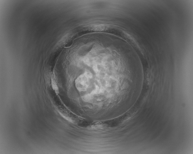 X0000081410307200701191537