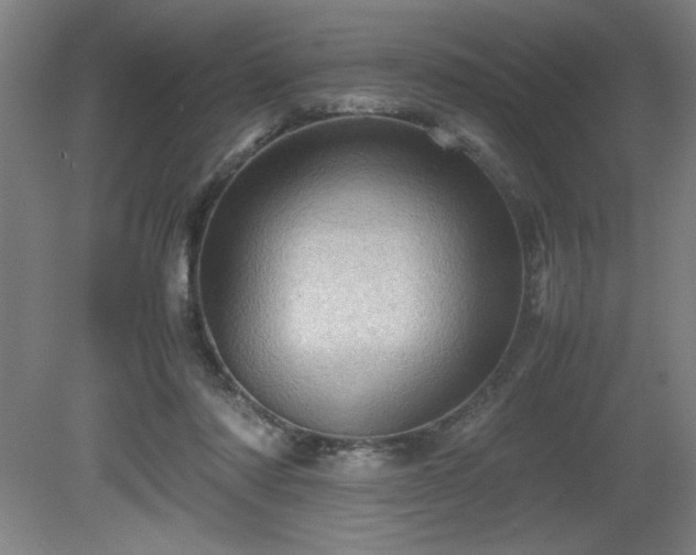 X0000081410310200701191537
