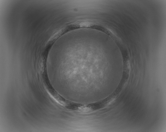 X0000081410311200701191537