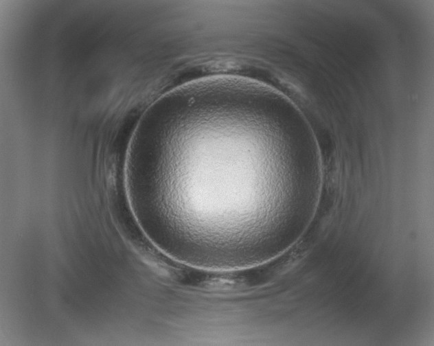 X0000081410315200701191537