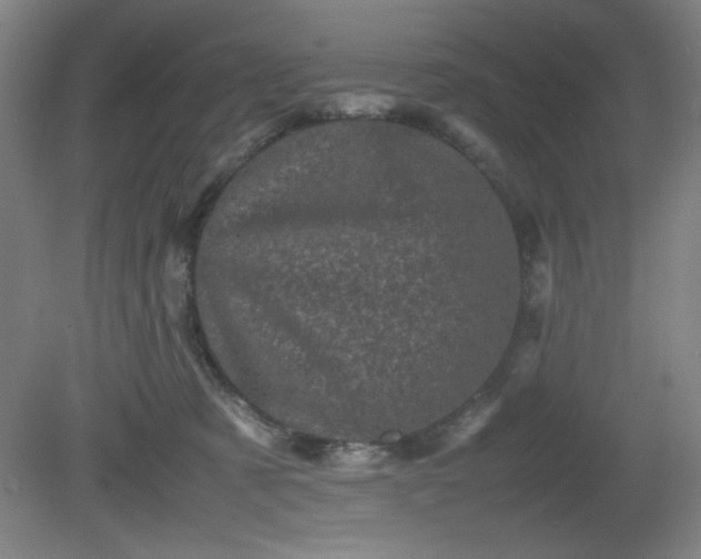 X0000081410321200701191536