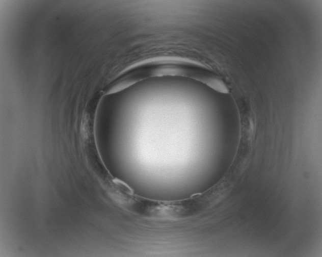 X0000081410323200701191536