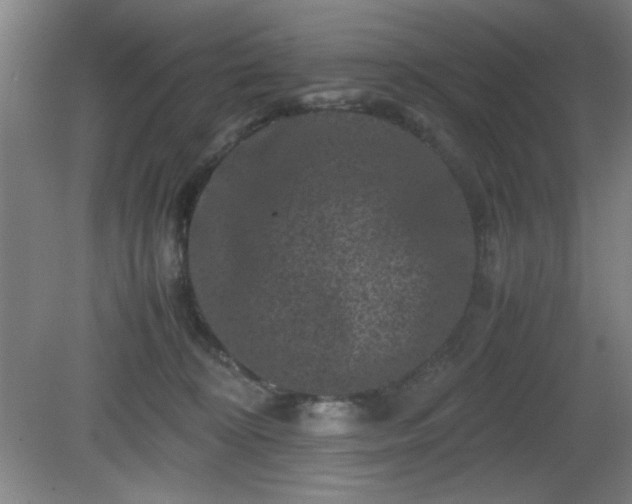 X0000081410324200701191536