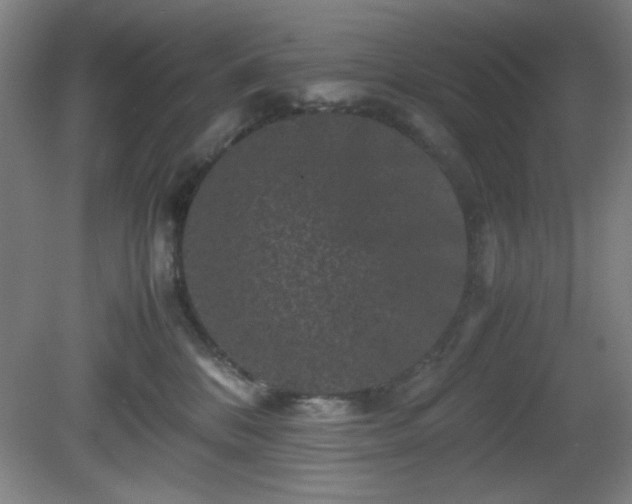 X0000081410328200701191536