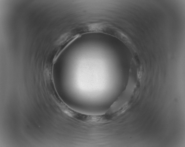 X0000081410329200701191536