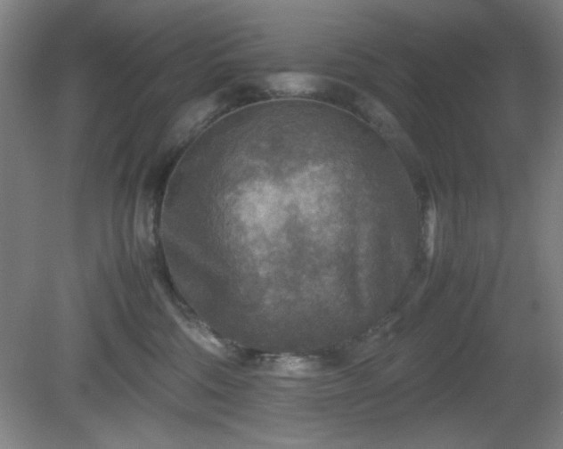 X0000081410330200701191536