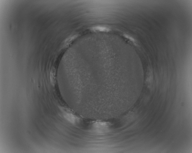 X0000081410332200701191536
