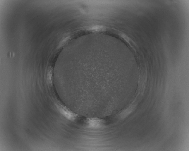 X0000081410336200701191536