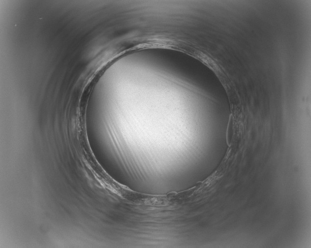 X0000081410338200701191535